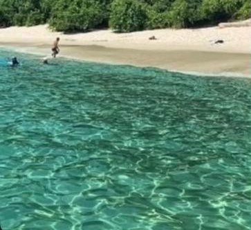 Praia do Dentista com mar esverdeado e faixa de areia clara